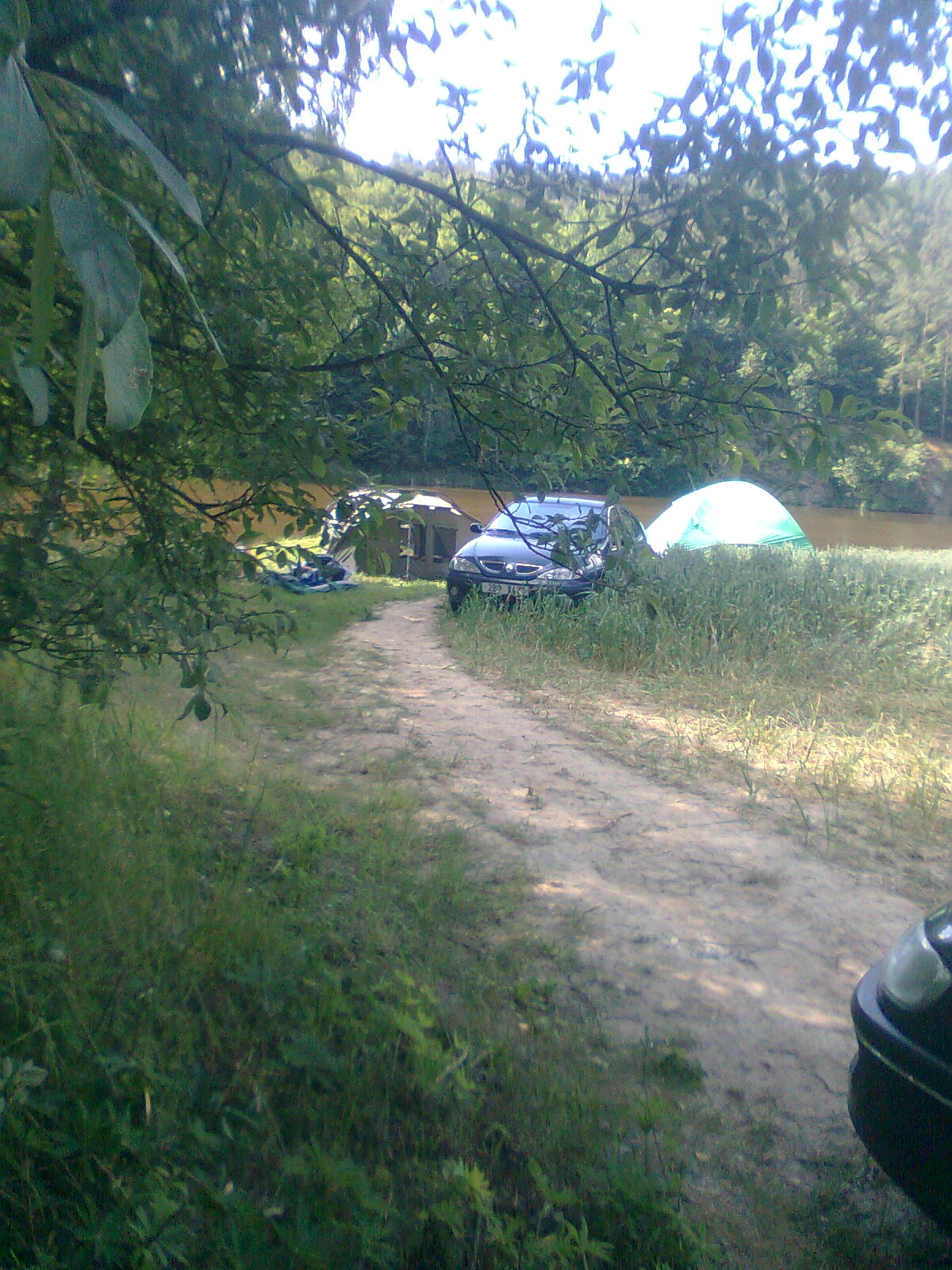 obraz0233