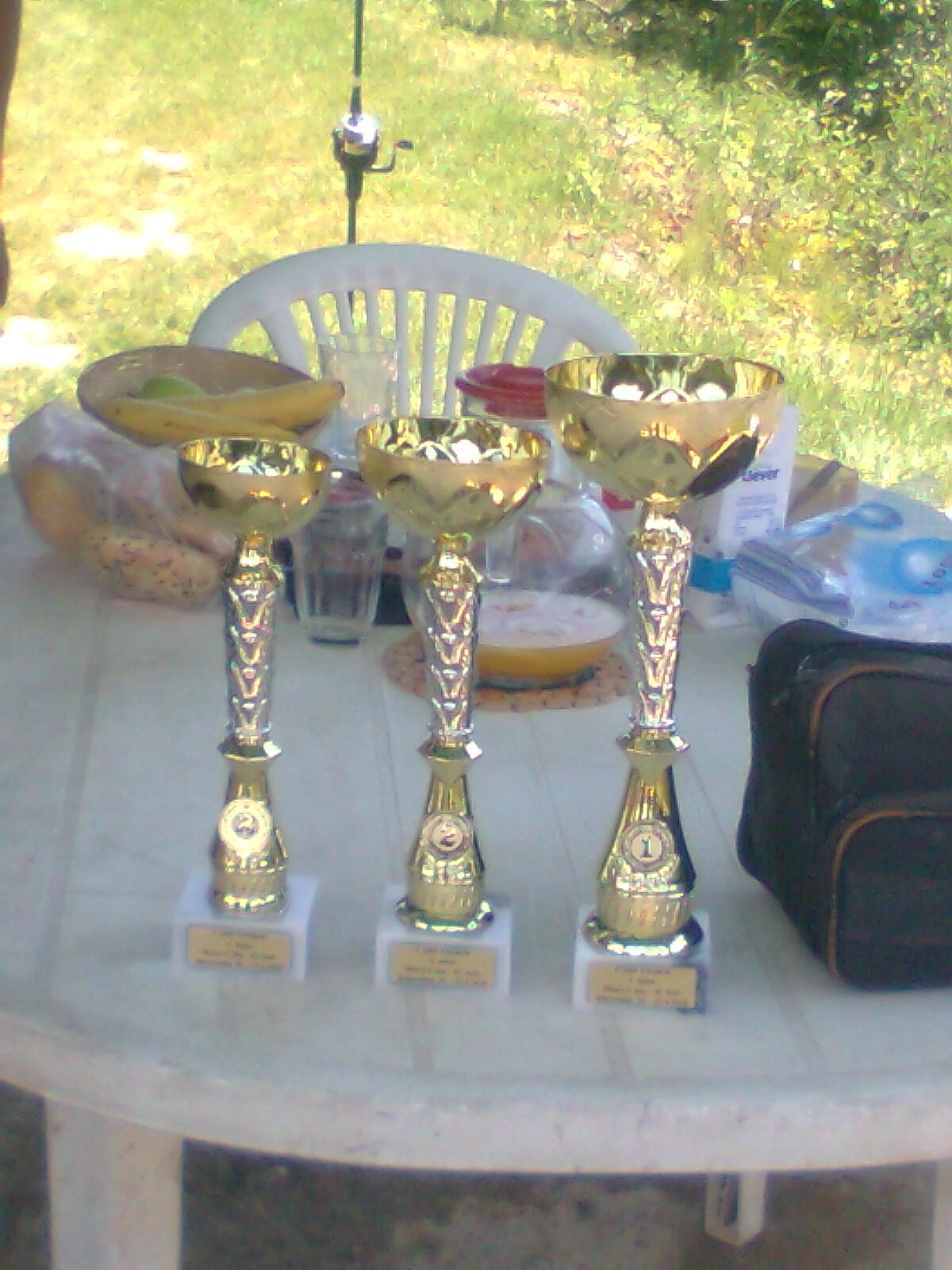 obraz0244