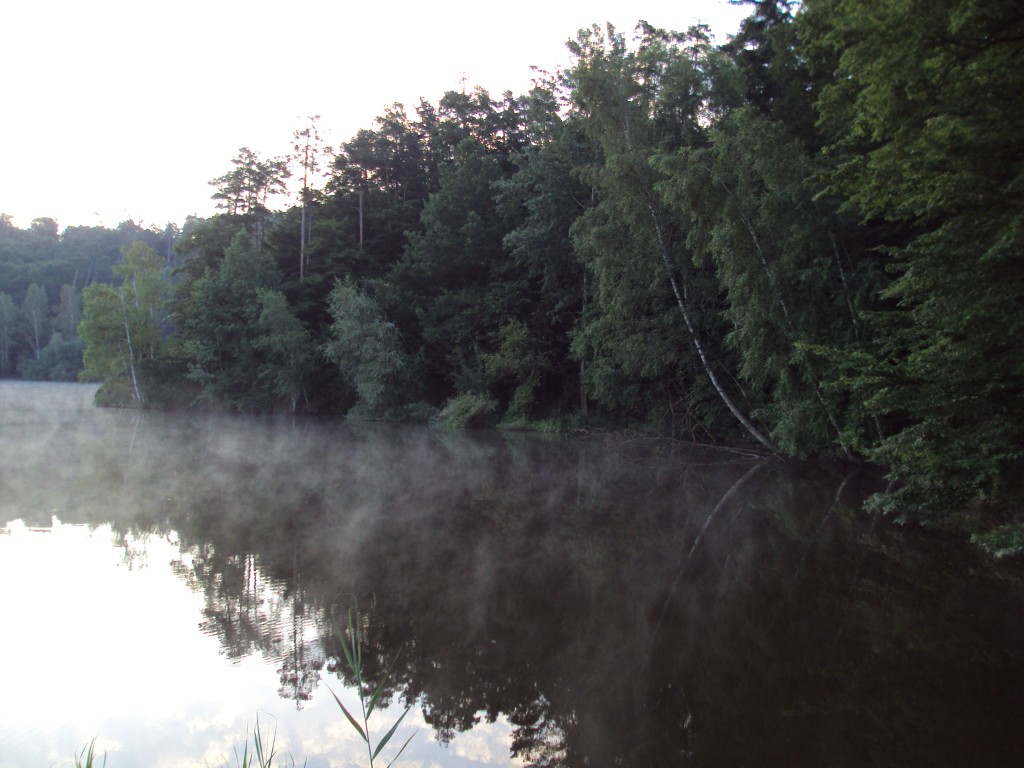 dsc00598