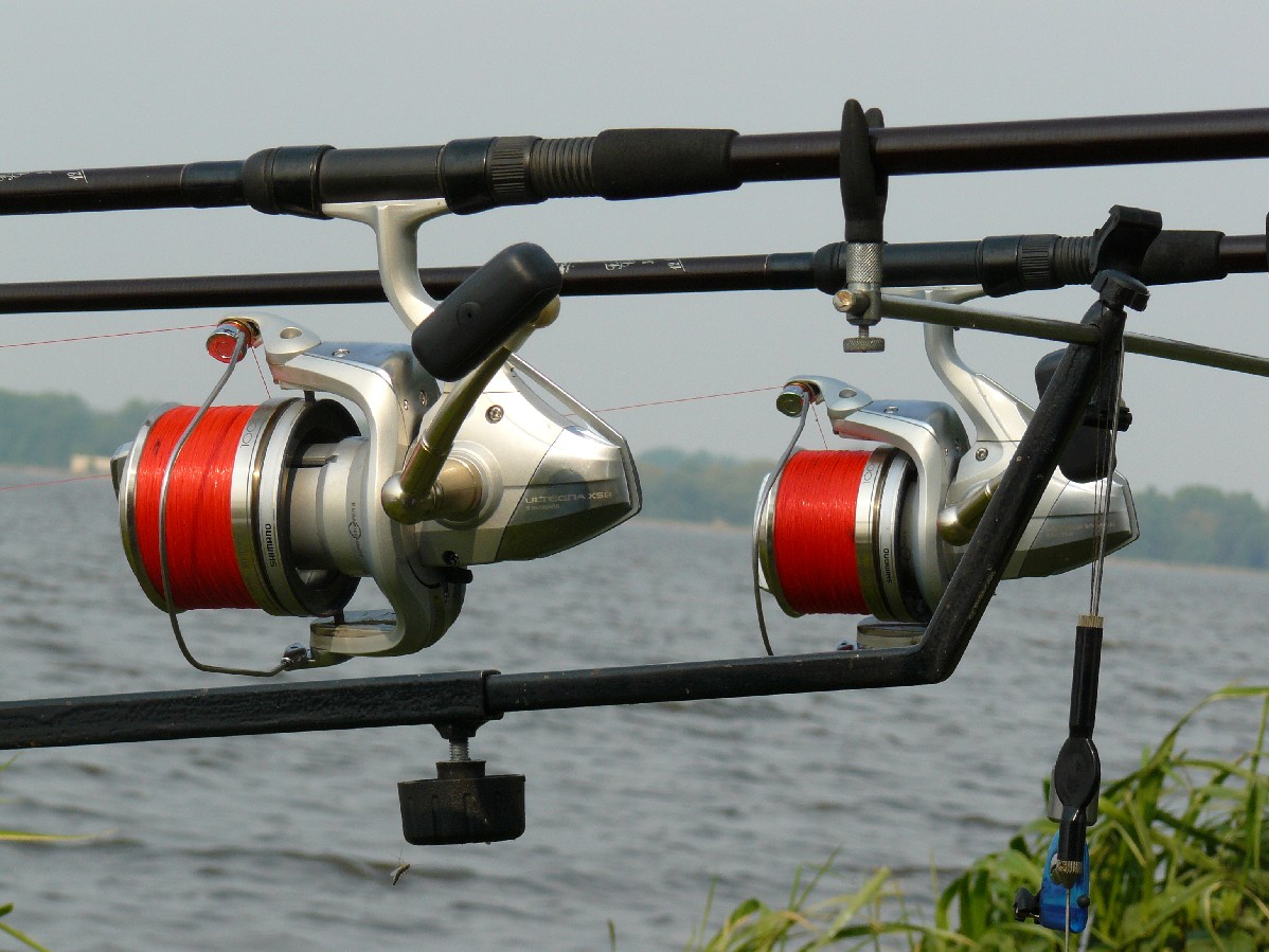P1000675.jpg